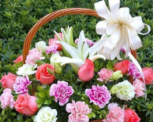 端午节送父母什么花寓意好？它的花语是什么？