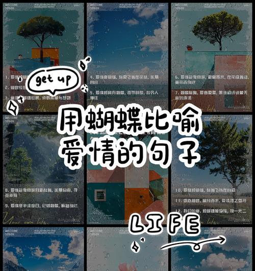 象征含蓄的爱情的花有哪些？如何用花表达默默的爱意？