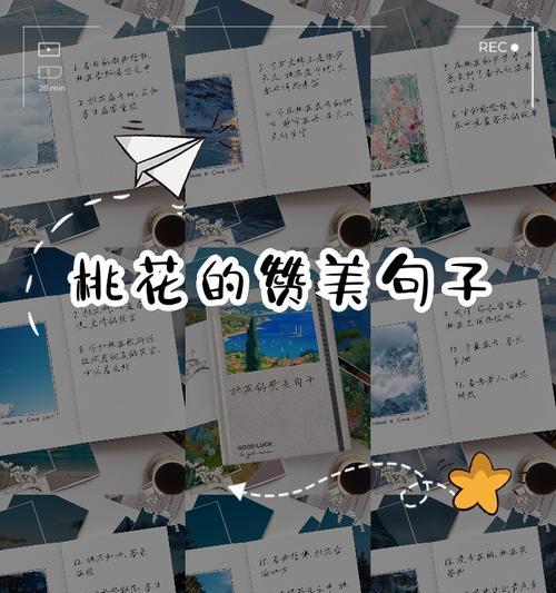 桃花为何自古象征爱情？桃花的花语有哪些？