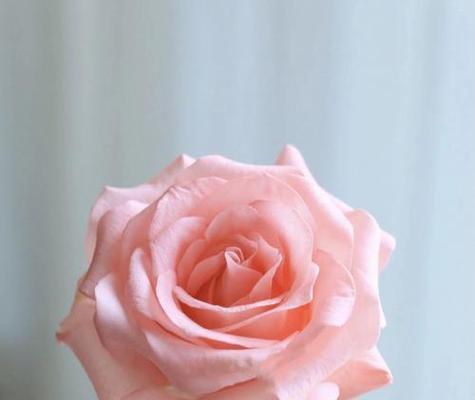 三束花在浪漫场合代表什么？
