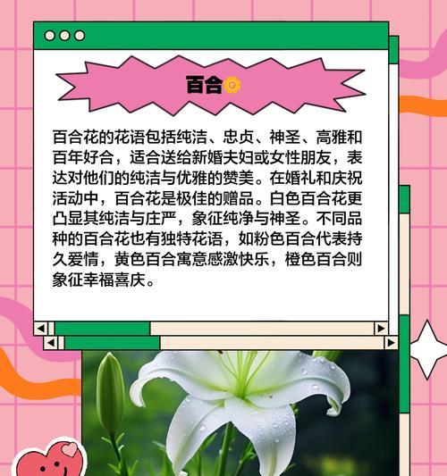 哪种花象征凄美爱情？它的寓意是什么？