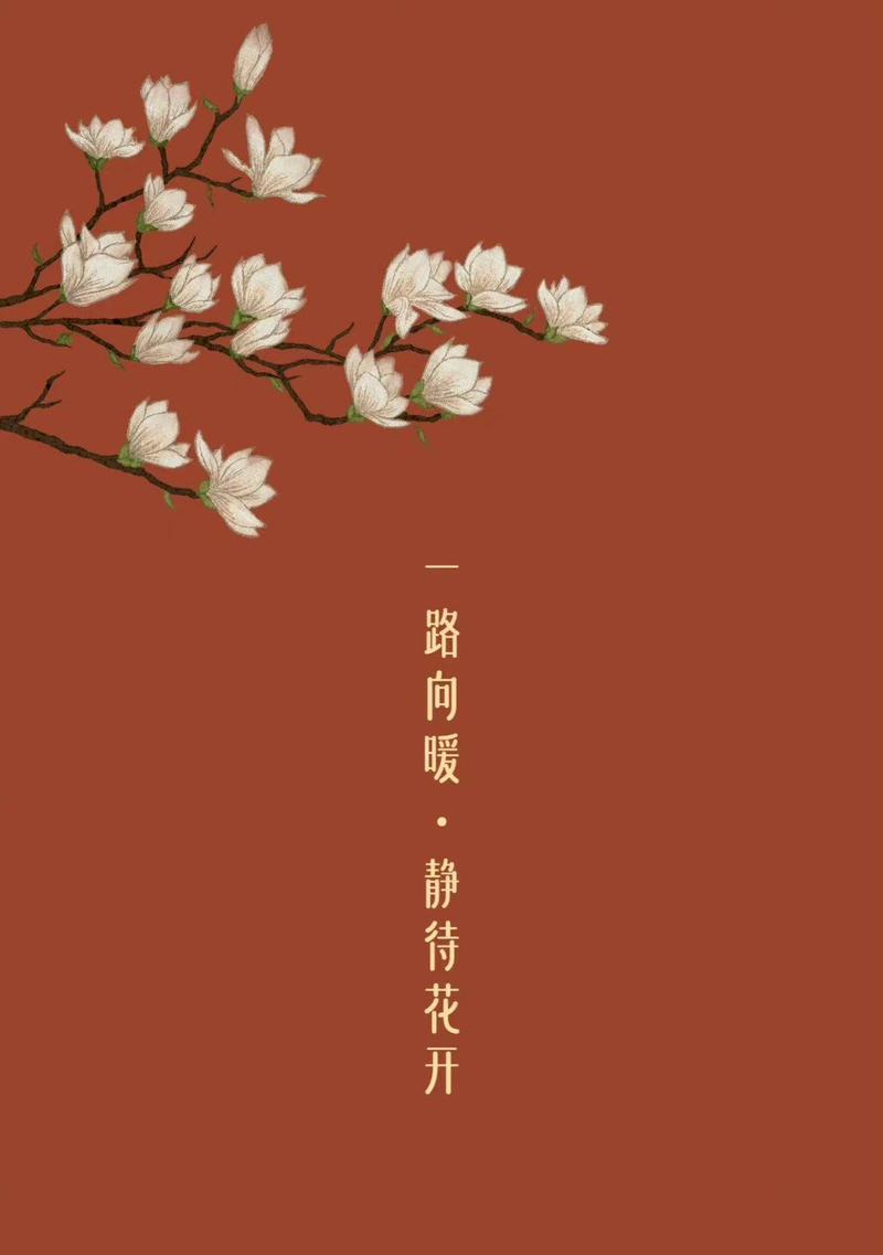 什么样的花语寓意着许愿成功？