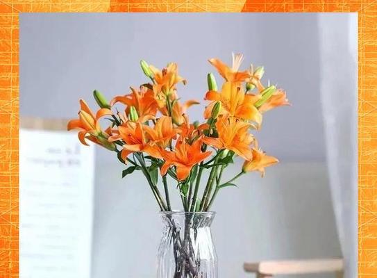 橘色百合花的寓意是什么？橘色百合花的象征意义有哪些？