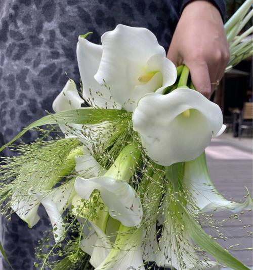 绿色荷花手捧花有何特别含义？它的寓意是什么？