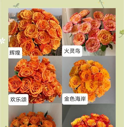 橙色和紫色手捧花代表什么？手捧花颜色选择的含义是什么？