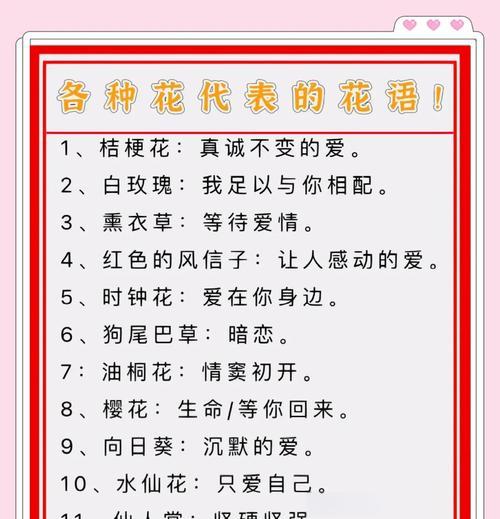 哪种花代表爱情的寓意？