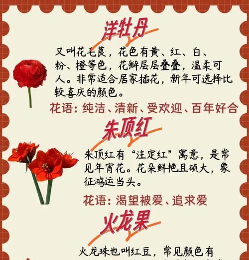 花的节日寓意着什么？如何选择合适的花卉庆祝？