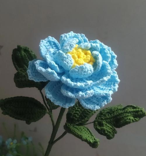 钩针花如何象征爱情？