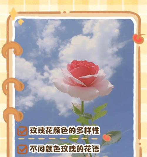 玫瑰花不同颜色寓意相同吗？