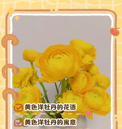富贵花的花语是什么？富贵花象征着什么？