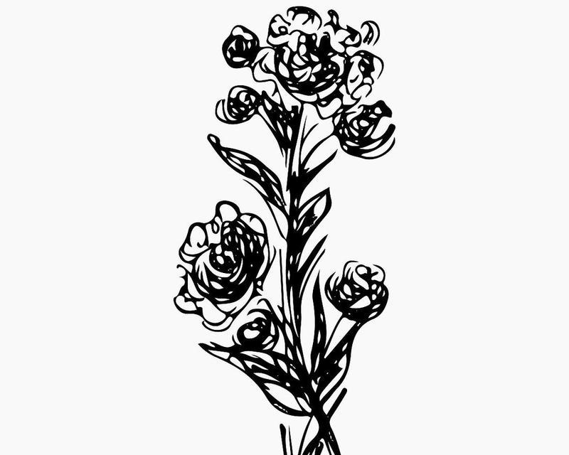 灰色花代表什么？灰色花的寓意有哪些？
