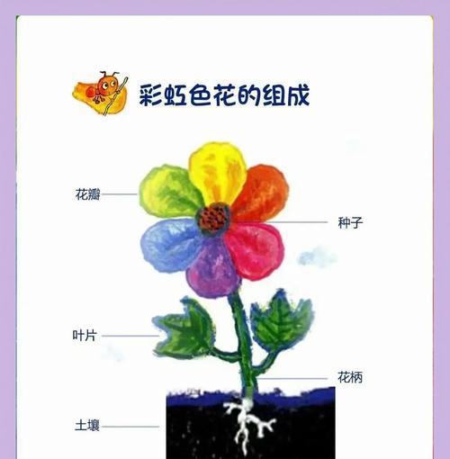 彩虹色花作品代表了什么意义？