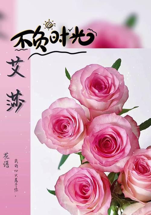粉色花语对恋人有什么浪漫含义？