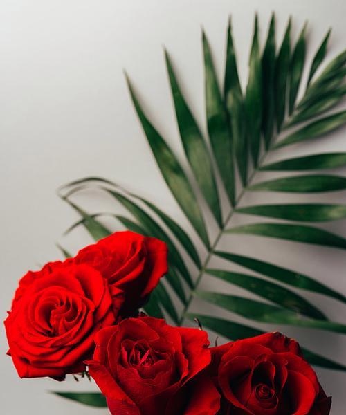 红色玫瑰花搭配的花瓶代表什么？花瓶的寓意是什么？