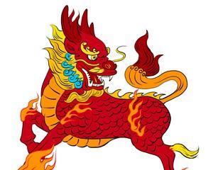 麒麟红色花的寓意及象征是什么？麒麟花的特殊含义？