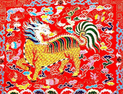 麒麟红色花的寓意及象征是什么？麒麟花的特殊含义？