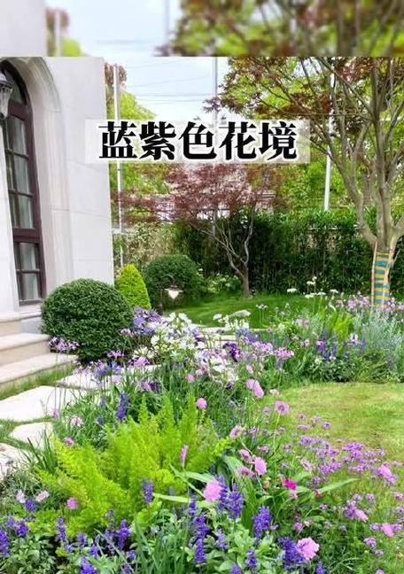 蓝紫色花境代表什么？打造蓝紫色花境的意义是什么？