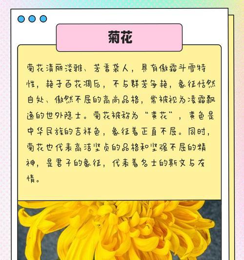 哪种花的花语是坚强和幸福？