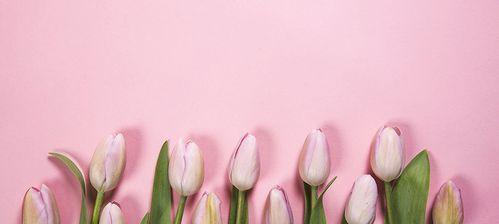 粉色郁金的花语是什么？