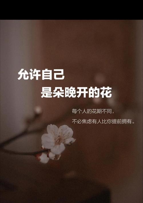 调动成功寓意的花是什么？哪种花象征事业上升？