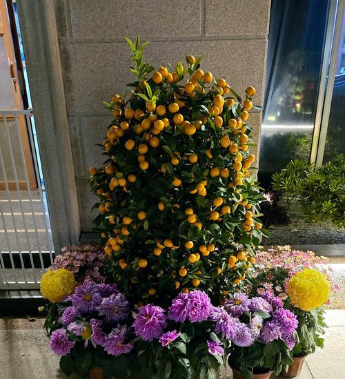 花街节的由来和寓意是什么？