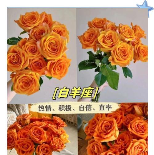 橙色花系的花语是什么？它们代表了哪些寓意？