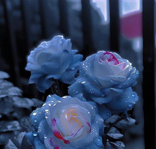 蓝色的花通常象征着什么？蓝色花的寓意有哪些？
