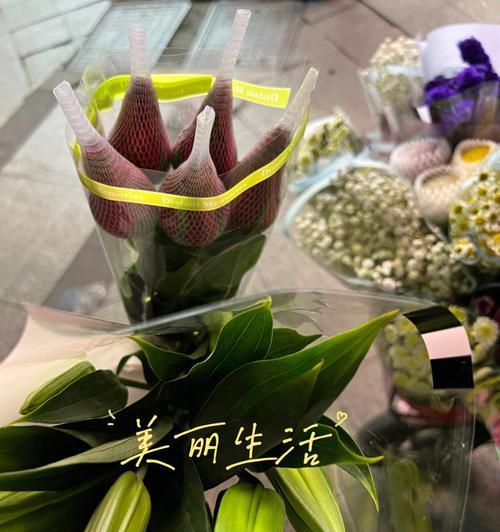 送给长辈阿姨的花语应该是什么？