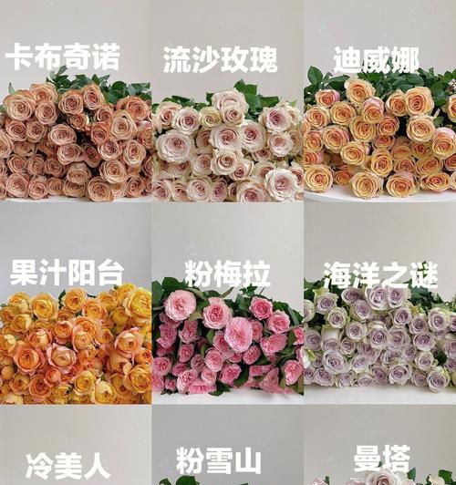 渐变玫瑰花代表什么？渐变颜色玫瑰的寓意是什么？