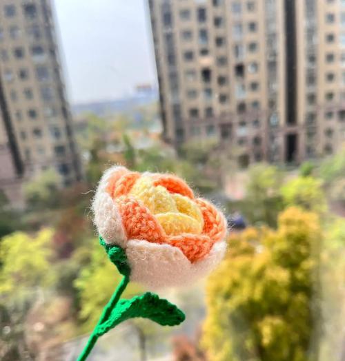渐变玫瑰花代表什么？渐变颜色玫瑰的寓意是什么？