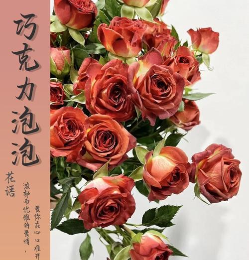 哪种花象征爱情的对白？