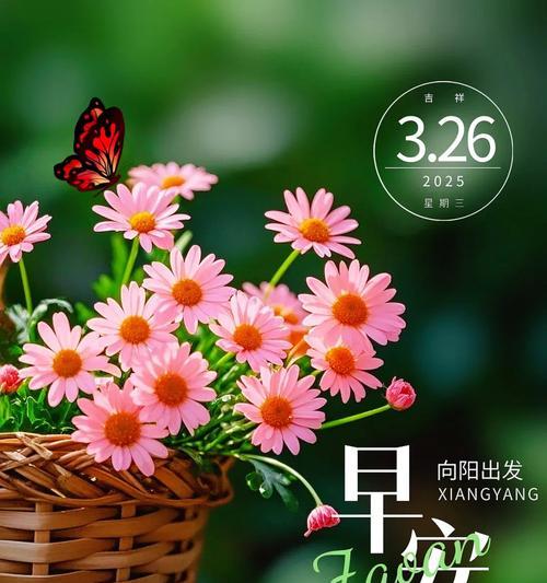 哪种花的含义是祝你幸福？