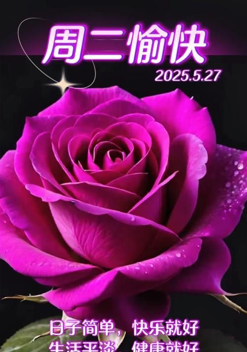 哪种花的含义是祝你幸福？