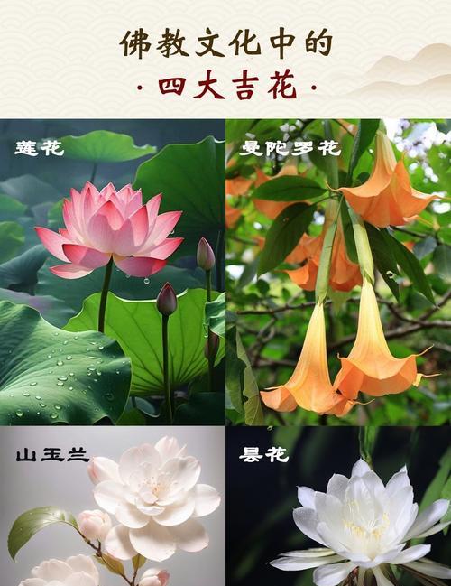 《山海经》中有哪些寓意吉祥的花？