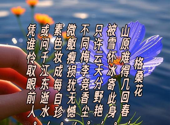 五色格桑花代表什么含义？