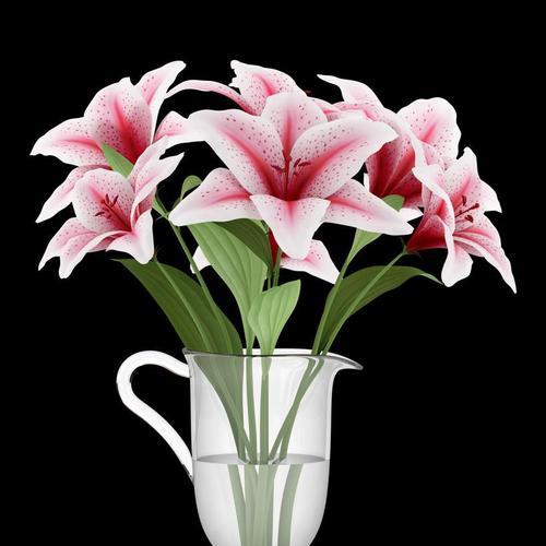 黑色花瓶插一朵花代表什么？黑色花瓶的花语是什么？