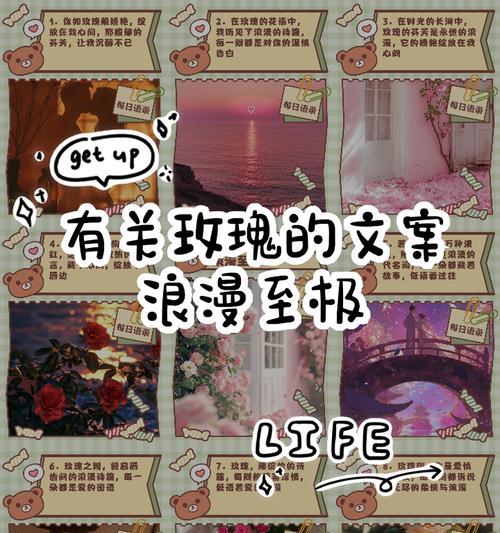 玫瑰的浪漫花语是什么？玫瑰如何表达浪漫？