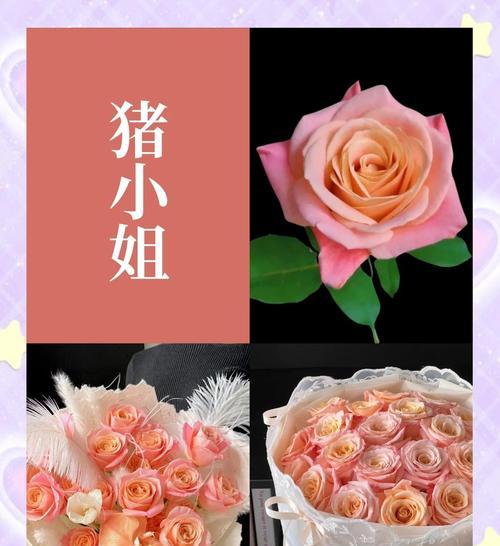 情人节玫瑰花的不同数量有何不同寓意？
