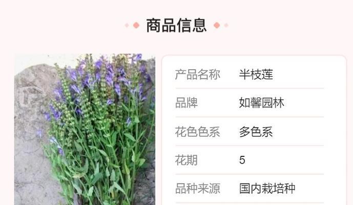 花境色系有哪些？花境色系表达的含义是什么？