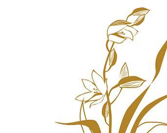 金色花的寓意是什么？金色花卉象征着什么？