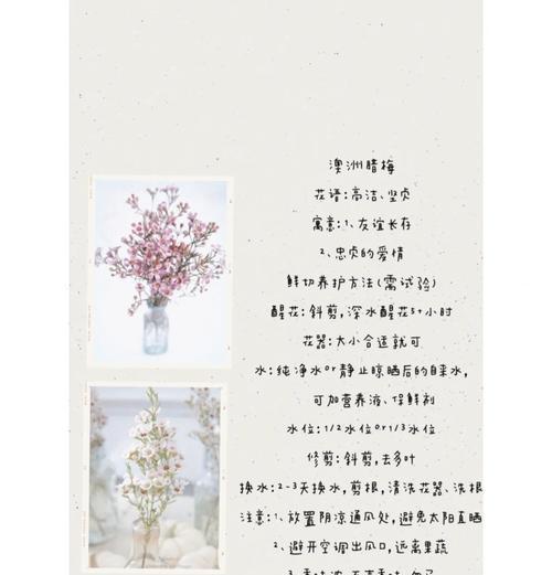哪些句子能表达花的悲伤爱情寓意？悲伤爱情的花语有哪些？