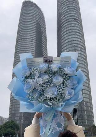 银色天空的花语是什么？