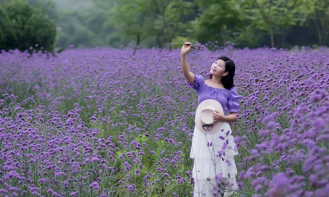 银色天空的花语是什么？