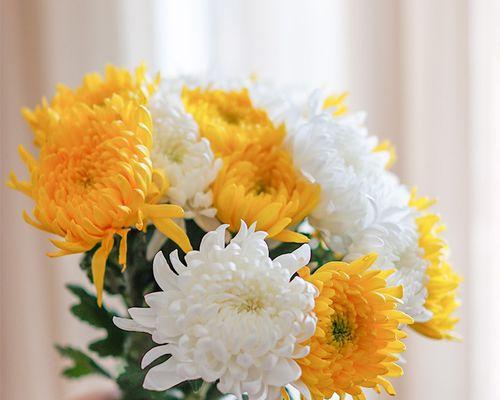 清明节时白色花的寓意是什么？