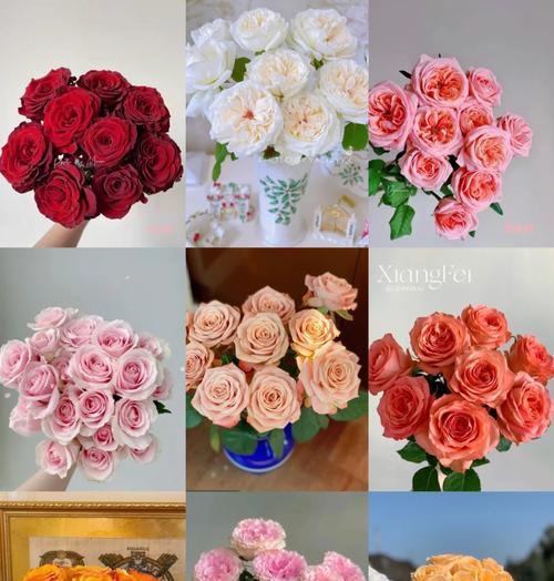 情人节九朵花束代表什么？九朵花的花语有哪些？