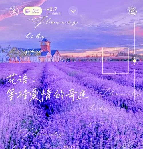 哪种花象征矢志不渝的爱情？矢志不渝爱情花语是什么？