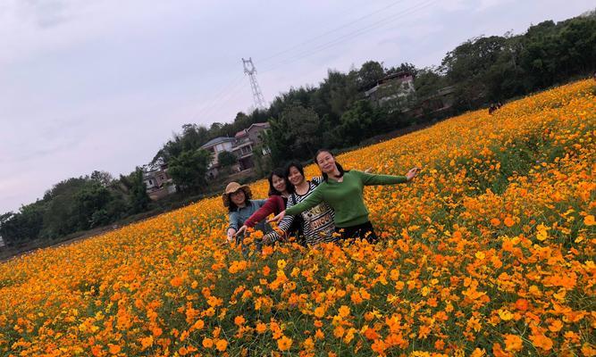 劳伦花恋和结成的故事情节是什么？劳伦花恋的寓意有哪些？