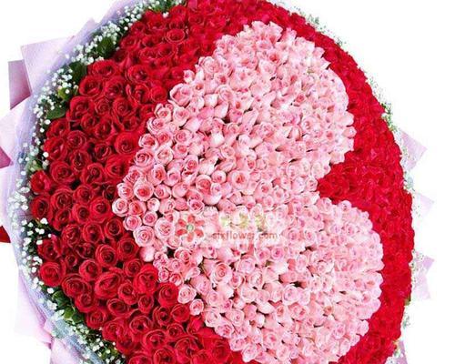 520红色花语是什么？如何用红色花表达爱意？