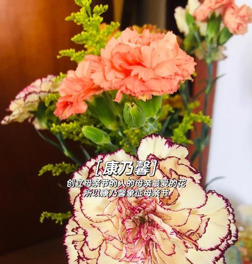 送母亲的花寓意是什么？如何用花表达对母亲的祝福？