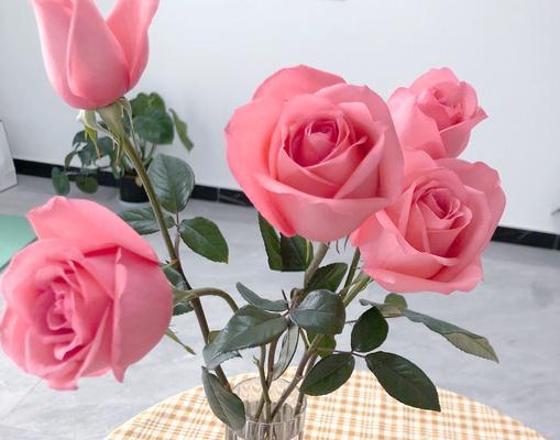 竹节花的由来是什么？它有什么特别的寓意？